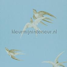 Swallows Wedgwood papel pintado Sanderson urbano 