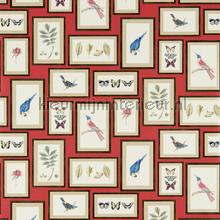 Picture gallery Red Multi papel pintado Sanderson urbano 