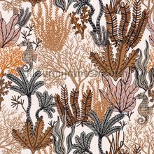 Posidonie tapeten Casamance weltraum 