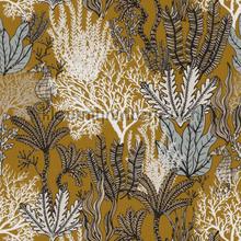 Posidonie tapeten Casamance weltraum 