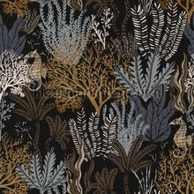 Posidonie tapeten Casamance weltraum 