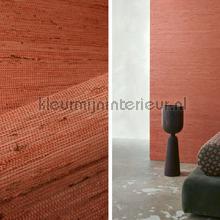 Kudzu Papaya behang Arte natuurlijke materialen 