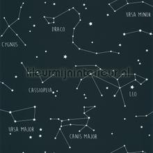 Constellations wallcovering Caselio urban 