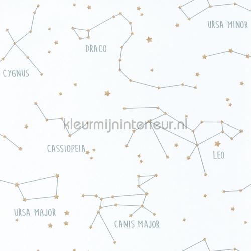 Constellations tapeten OUP101917125 weltraum Caselio