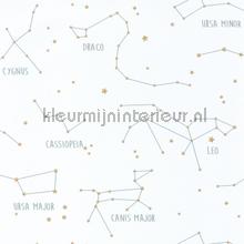 Constellations wallcovering Caselio urban 