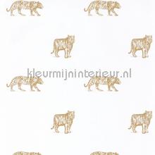 Eye of the tiger wallcovering Caselio Wallpaper creations 