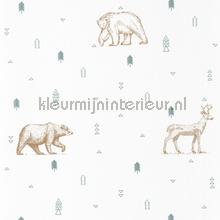 Grizzley bears wallcovering Caselio Wallpaper creations 