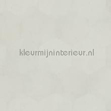 Hexagon fur papier peint Philipp Plein stress 
