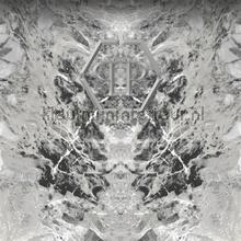 125910 papier murales Philipp Plein Philipp Plein 1 Z80069