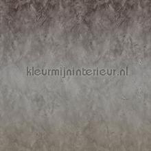 125905 papier murales Philipp Plein Philipp Plein 1 Z80074