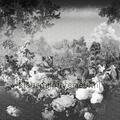 125891 fototapeten Z80088 Blumen - Pflanzen Themen