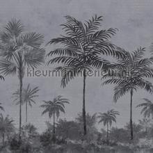 125982 papier murales Philipp Plein Philipp Plein 1 Z8089