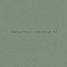Uni met fijne textielstructuur Vaal zeegroen behang AS Creation PintWalls 371787
