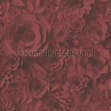 Graphic 3d flowers wallcovering 387183 romantic modern AS Creation