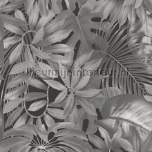 Graphic plants wallcovering AS Creation PintWalls 387203