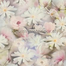 Pastel flower breeze papier peint AS Creation stress 