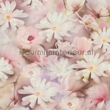 Pastel flower breeze wallcovering AS Creation Vintage- Old wallpaper 