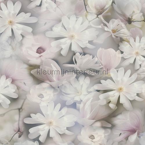 Pastel flower breeze tapet 387223 blomster AS Creation