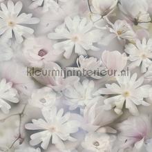 Pastel flower breeze tapet 387223 blomster AS Creation