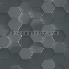 3d wall hexagons behang 387233 Grafisch - Abstract AS Creation