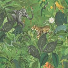 Jungle meetings papel pintado AS Creation PintWalls 387241