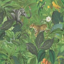 Jungle meetings papel pintado AS Creation Wallpaper creations 