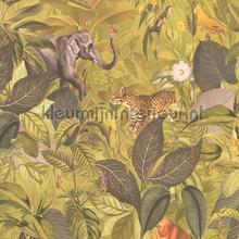 Jungle meetings papel pintado AS Creation PintWalls 387242