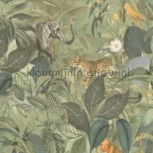 Jungle meetings carta da parati AS Creation Wallpaper creations 