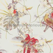 Bird collection wallcovering AS Creation Vintage- Old wallpaper 
