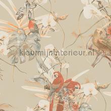 Bird collection wallcovering AS Creation Vintage- Old wallpaper 