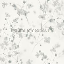 Shadow blossoms papier peint AS Creation stress 