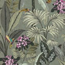 Kolibrie plants behang AS Creation romantisch modern 