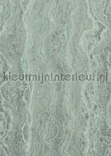 Marble mint papier murales Komar RAW R2-002