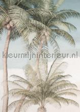 Palm oasis fottobehaang Komar alle ploatjes 