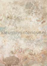 Ancient times papier murales Komar RAW R2-004