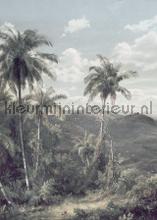The exotic land papier murales Komar RAW R2-006