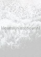 Ocean surface papier murales Komar RAW R2-011