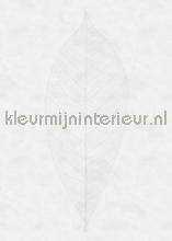 Decent leaf papier murales Komar RAW R2-012