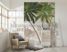 Palmera papier murales Komar RAW R2-013