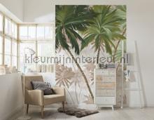 Palmera fottobehaang Komar Zon Salou Blanes 