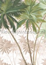 Palmera papier murales Komar RAW R2-013