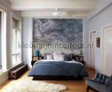 Ink blue fluid papier murales Komar RAW R3-024