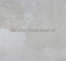 Puro papier murales Komar RAW R3-032