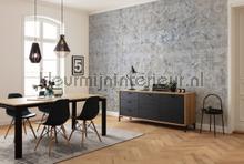 Origins papier murales Komar RAW R4-041