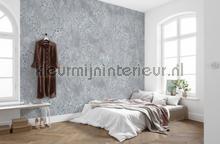 Pristine papier murales Komar RAW R4-042