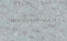 Pristine papier murales Komar RAW R4-042