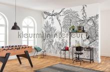 Blanca papier murales Komar RAW R4-046