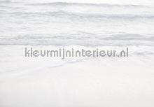 Silver beach papier murales Komar RAW R4-047
