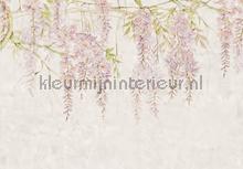 Wisteria photomural Komar world maps 