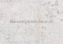 Feathered papier murales Komar RAW R4-052